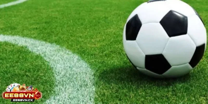 Kèo chấp 1/2 là sao