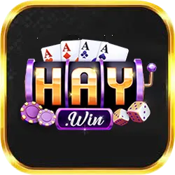 logo haywin
